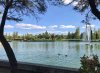 A lovely sporting lake in the Parque de Juan Carlos l, Madrid.